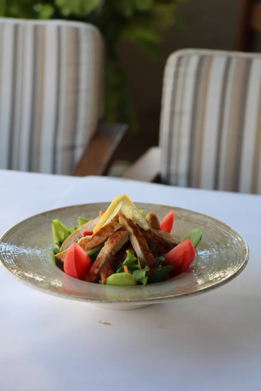 Izgara Tavuklu Salata